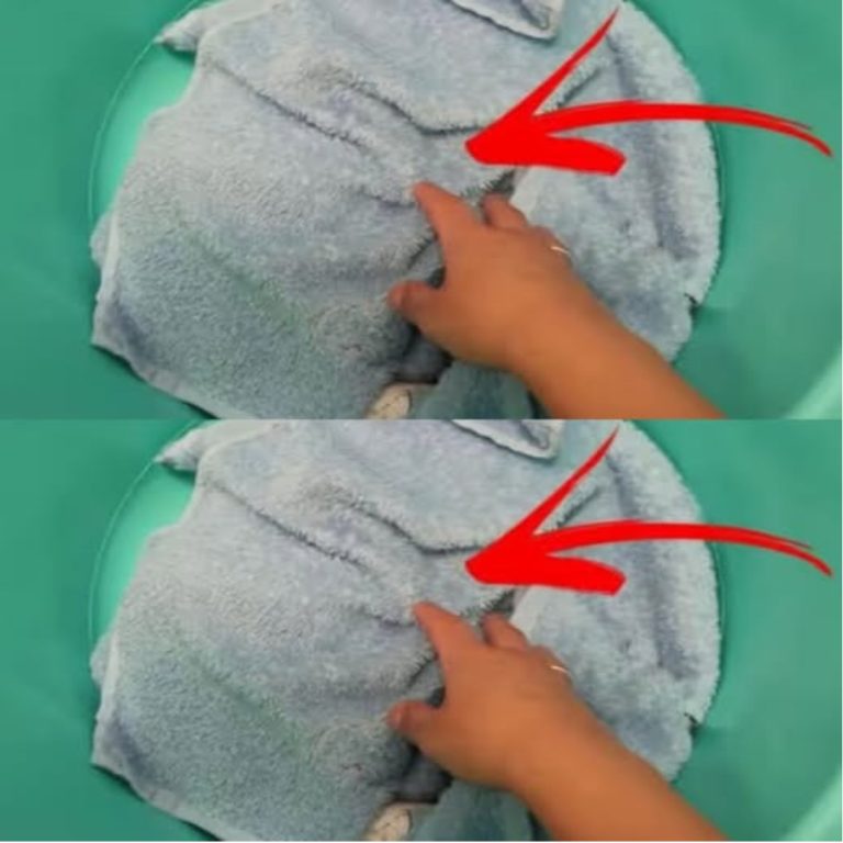 Proste wskazówki, jak pozbyć się zapachu pleśni w łazience