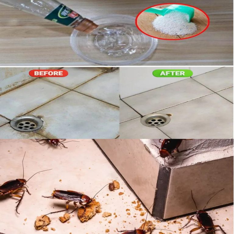 Dodawanie białego octu do detergentu do prania to specyficzna metoda, która może nie być znana każdemu.