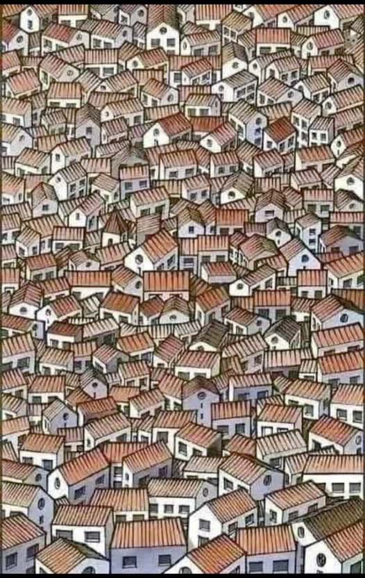 Jesteś gotowy na wyzwanie iluzji optycznej? Znajdź kota ukrytego między domami w mniej niż 10 sekund!