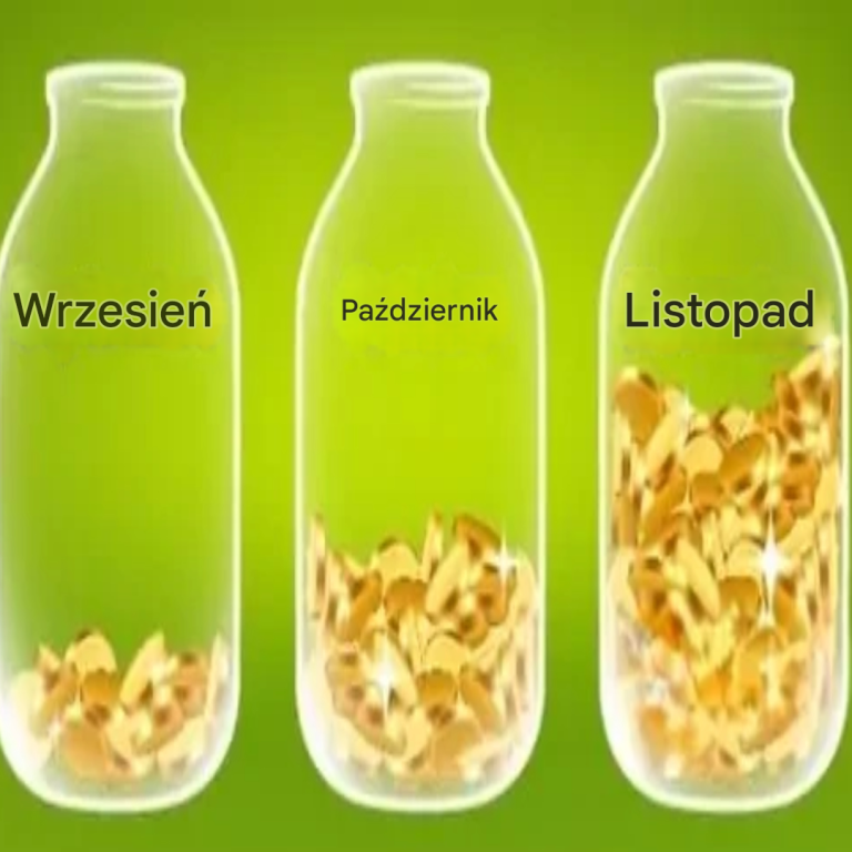 Jak oszczędzać co miesiąc: 2 zasady, których należy przestrzegać
