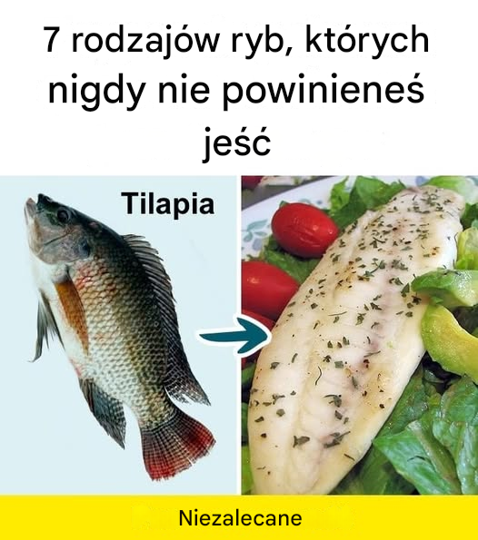 7 rodzajów ryb, których nigdy nie powinieneś jeść