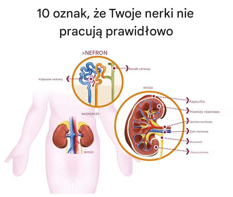 10 oznak, że Twoje nerki nie pracują prawidłowo