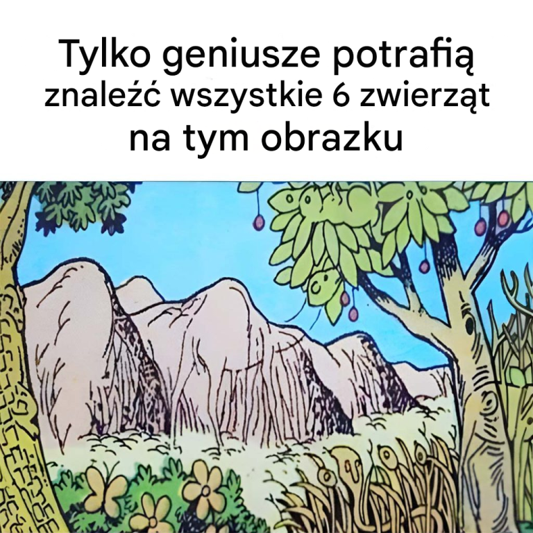 Czy potrafisz znaleźć 6 zwierząt na obrazku?