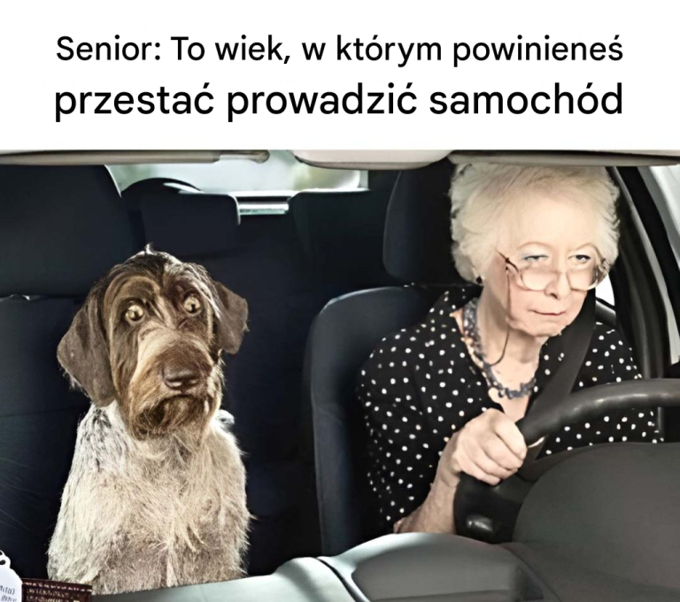 Senior: To wiek, w którym powinieneś przestać prowadzić samochód