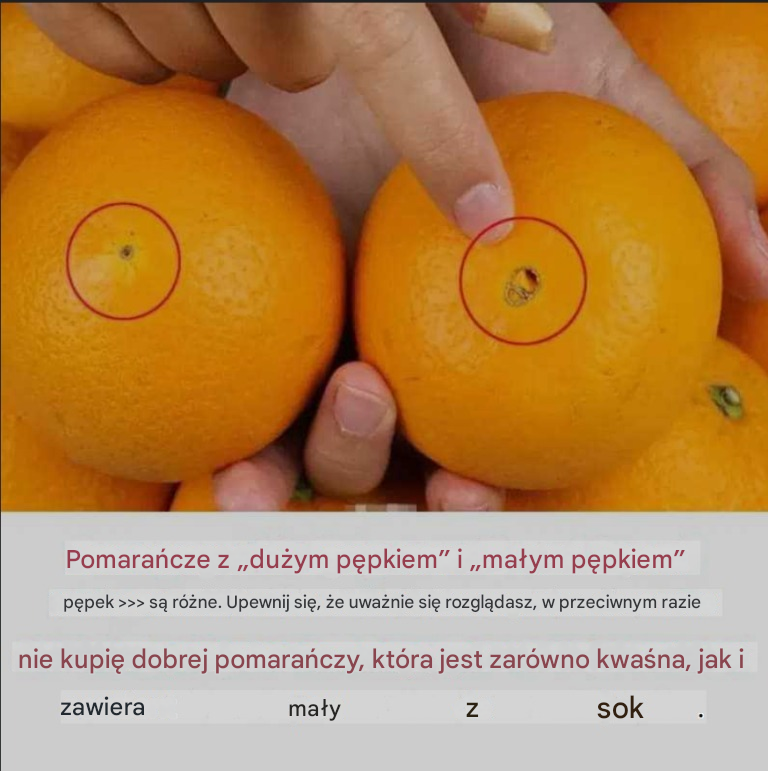 Pomarańcze z „dużym pępkiem” i „małym pępkiem” różnią się