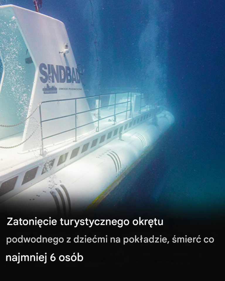 Zatonięcie turystycznego okrętu podwodnego z dziećmi na pokładzie, śmierć co najmniej sześciu osób