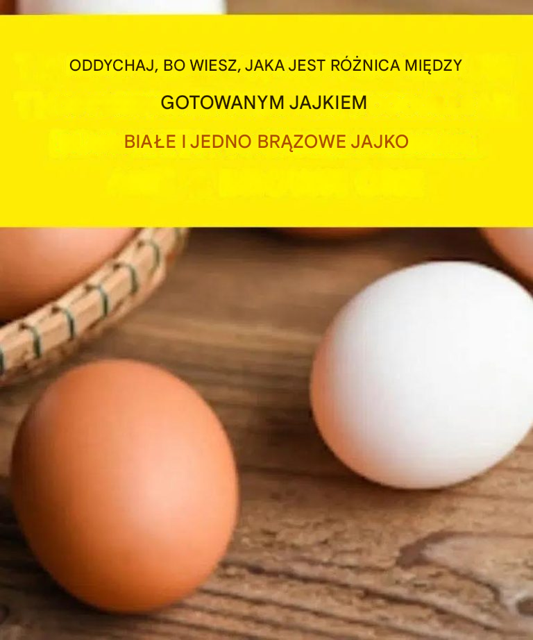 Białe czy brązowe jajka? Dowiedz się, który z nich wybrać.