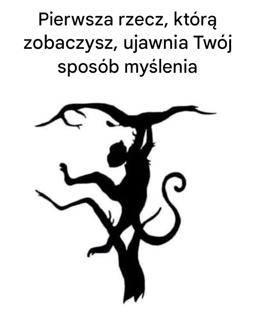 Pierwsza rzecz, którą zobaczysz, ujawni Twój sposób myślenia