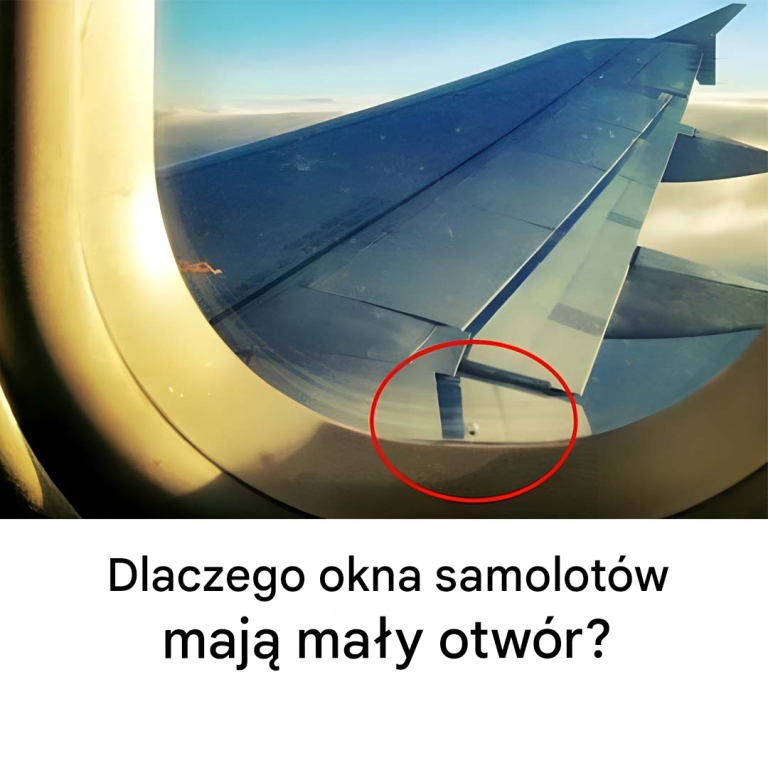 Dużo latałeś, ale możesz o tym nie wiedzieć!