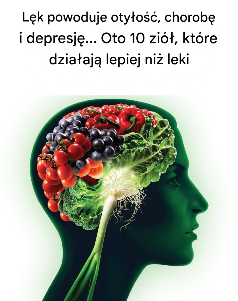 Lęk powoduje otyłość, chorobę i depresję… Oto 10 ziół, które działają lepiej niż leki