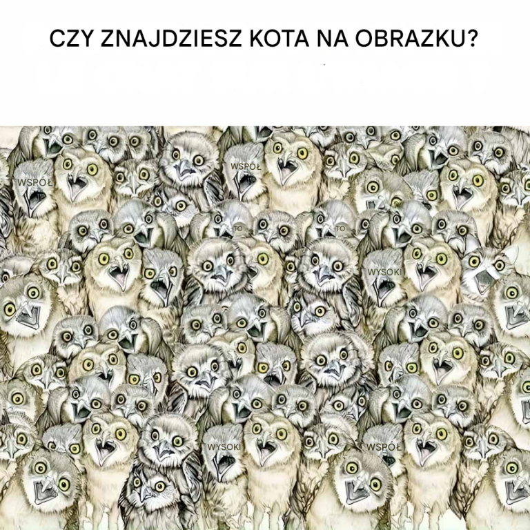 Czy potrafisz znaleźć kota na obrazku?