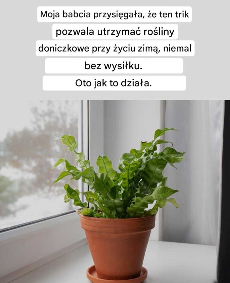 Takie mądre!