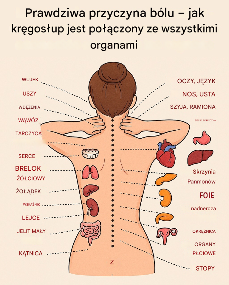 Prawdziwa przyczyna bólu – jak kręgosłup jest połączony ze wszystkimi organami…