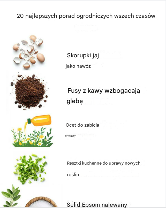 20 najlepszych porad ogrodniczych wszech czasów