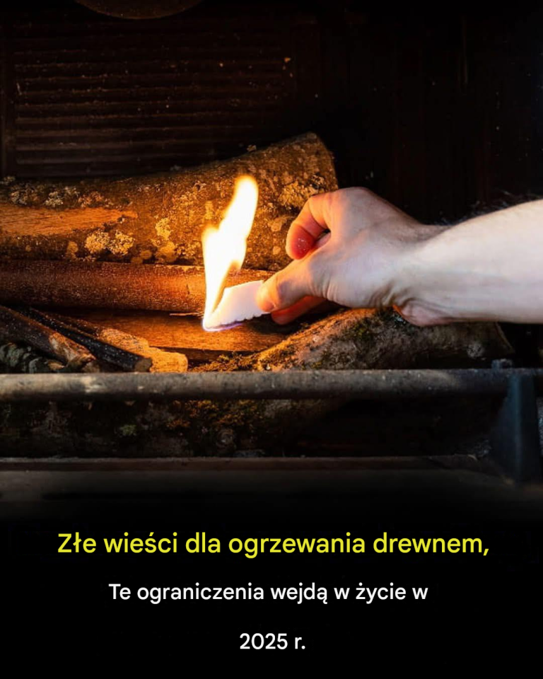 Ograniczenia w ogrzewaniu drewnem mają zostać wprowadzone w 2025 r., złe wieści dla użytkowników