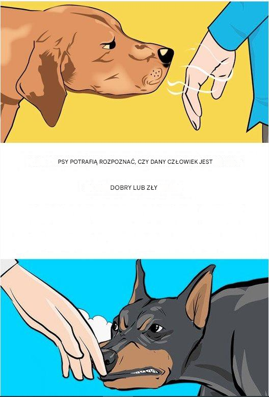 Psy potrafią rozpoznać, czy dana osoba jest dobra czy zła
