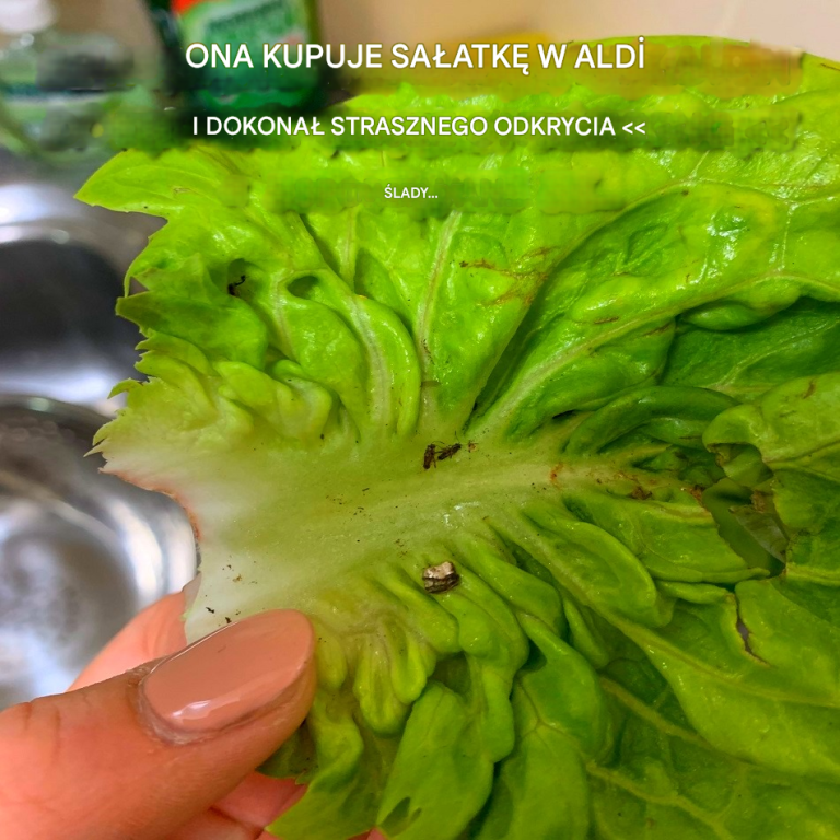 Kupuje sałatkę w Aldi i dokonuje strasznego odkrycia: „ślady…