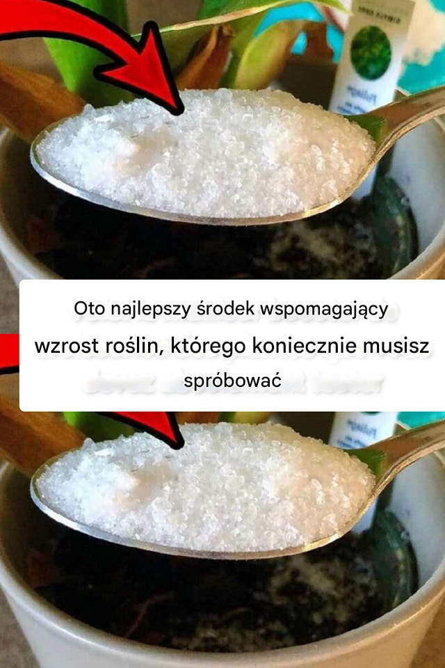Oto najlepszy środek wspomagający wzrost roślin, którego koniecznie musisz spróbować