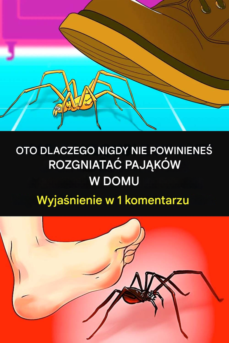 Dlaczego nigdy nie należy zabijać pająków w domu?