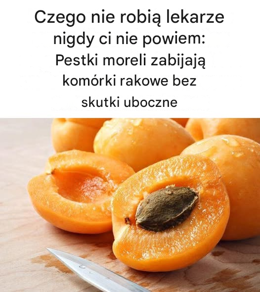 Czego lekarze nigdy ci nie powiedzą: Pestki moreli zabijają komórki rakowe bez skutków ubocznych