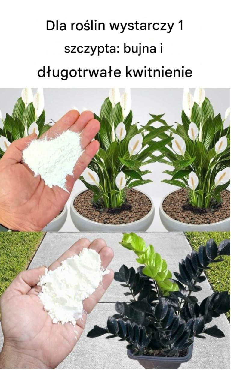 Dla roślin wystarczy 1 szczypta: obfite i długotrwałe kwitnienie