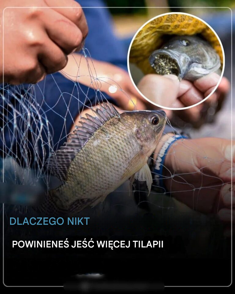 Dlaczego nikt już nie powinien jeść tilapi