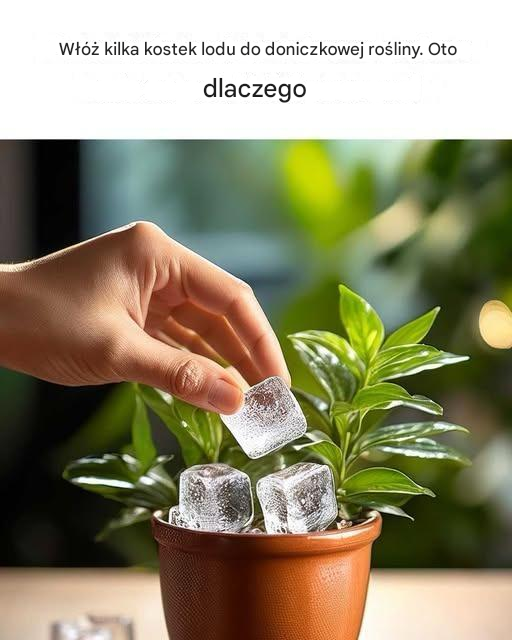 Niedawno widziałem ten hack i pomyślałem, że jest świetny.